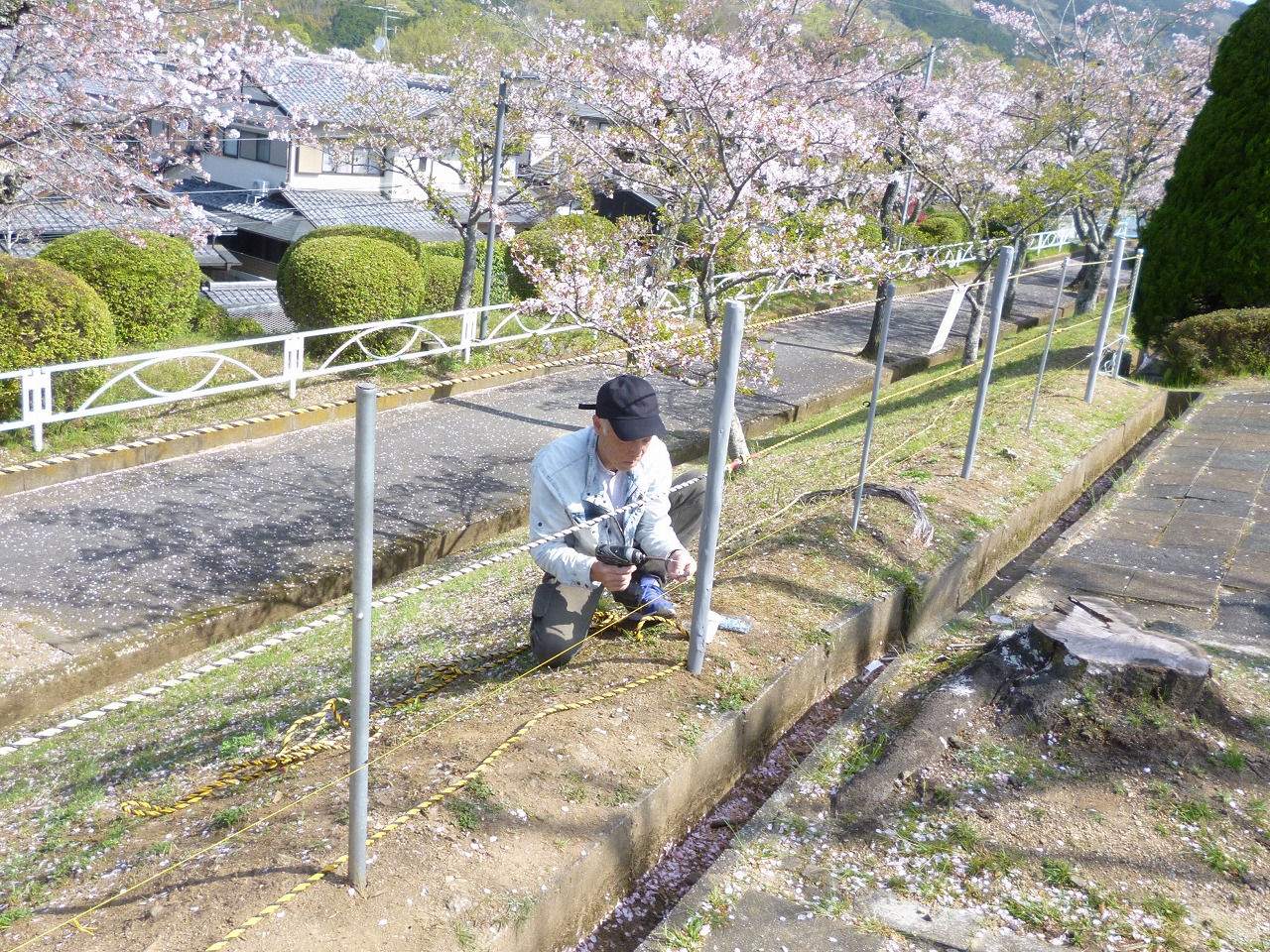 市 天気 桜井 の